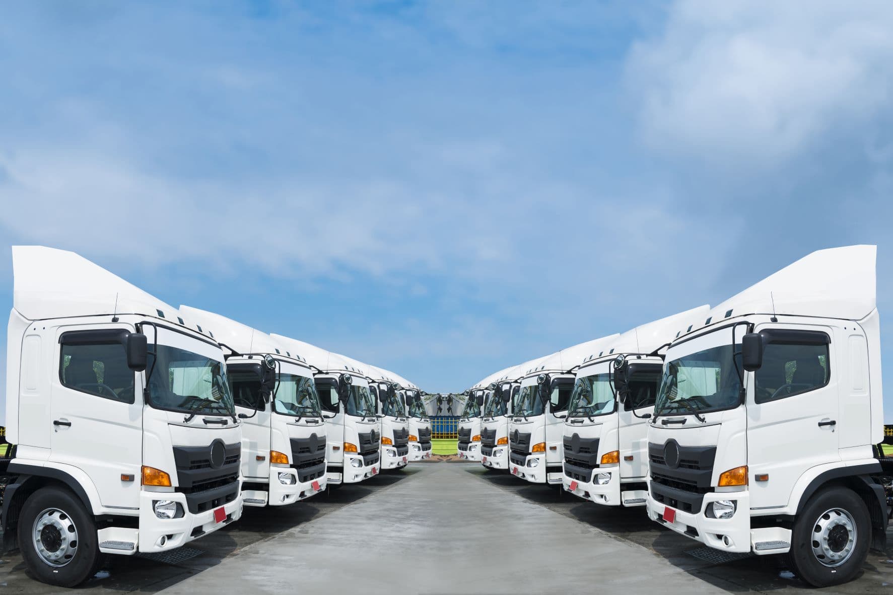Logistics and Transportation Services